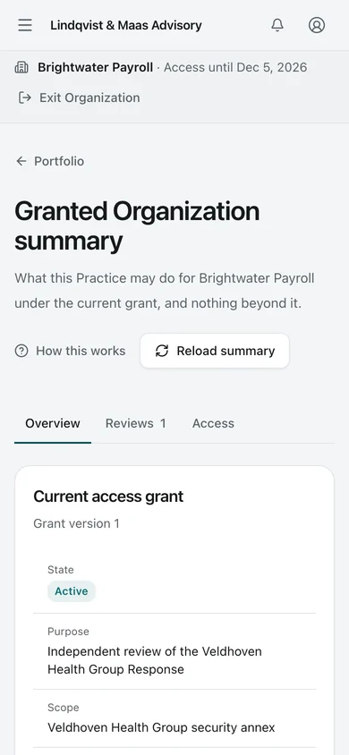 One client Organization. One client Organization from the Practice side: the Access Grant, its scope and expiry, and the Reviews under it.